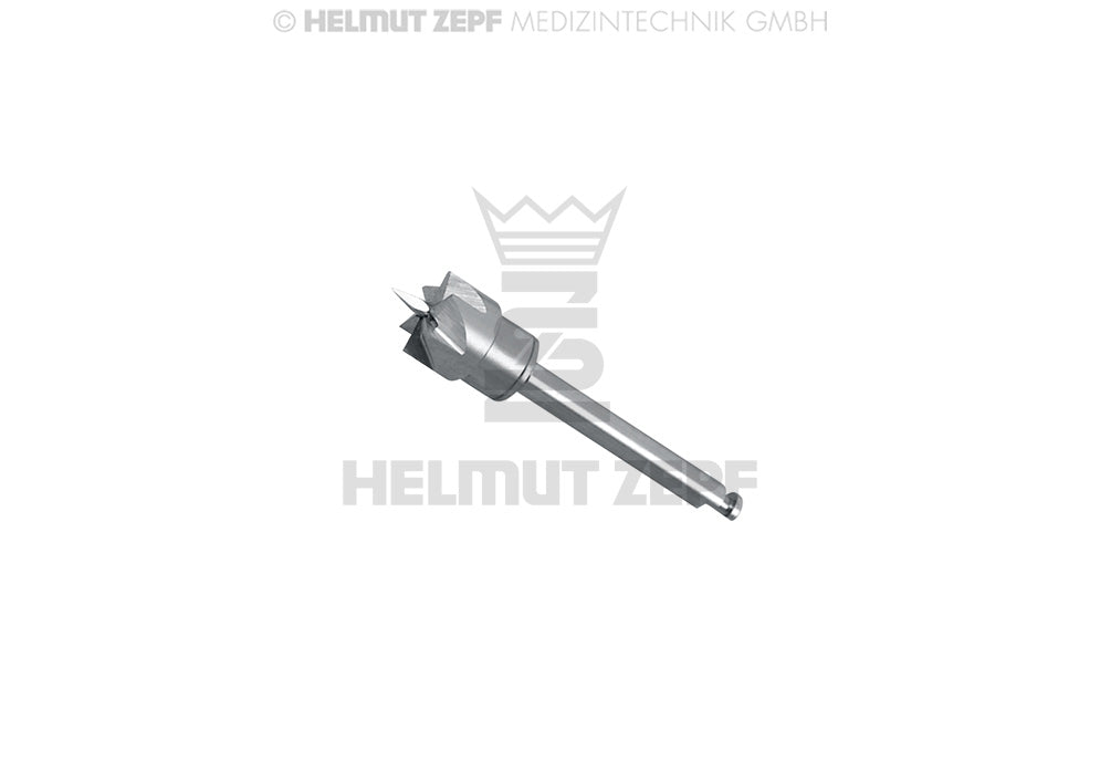 LAGERFRÄSER Ø6,0 MM MIT DENTALANSCHLUSS, FIG. DD207