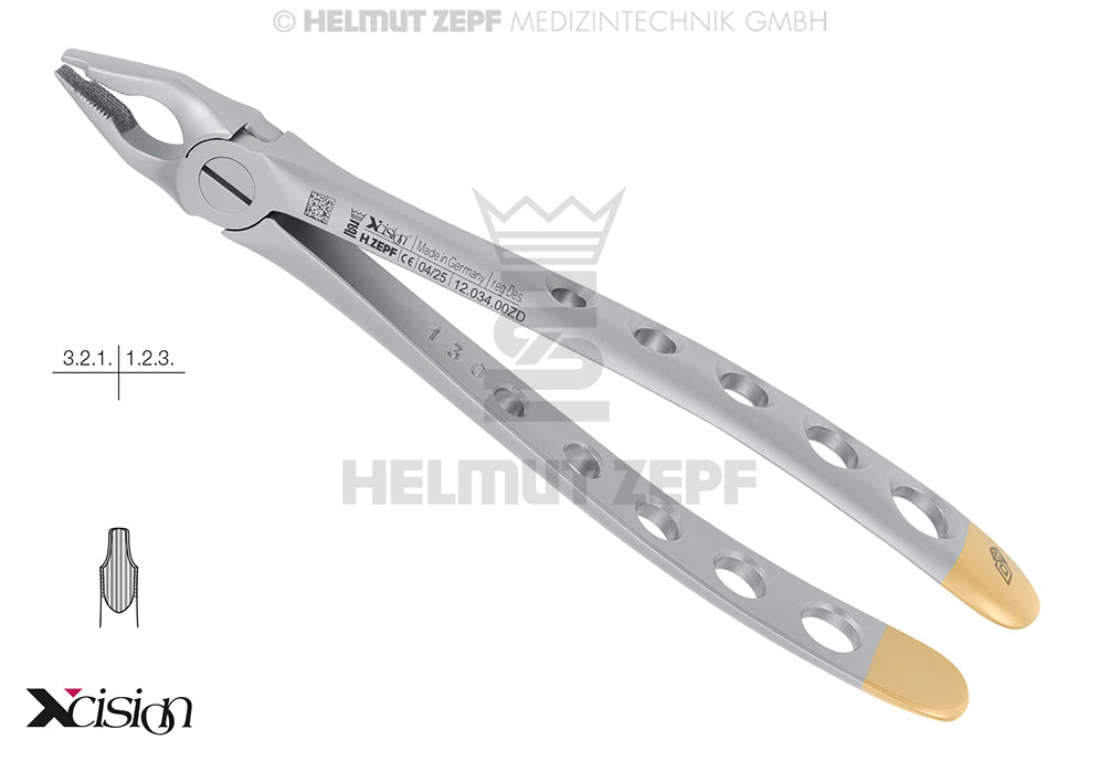 ZAHNZANGE,ENGL.FORM FIG. 34 OBERE SCHNEIDE- U.ECKZÄHNE SPEZ.-MAUL,TIEFGREIFEND, MAULRANDZAHNUNG