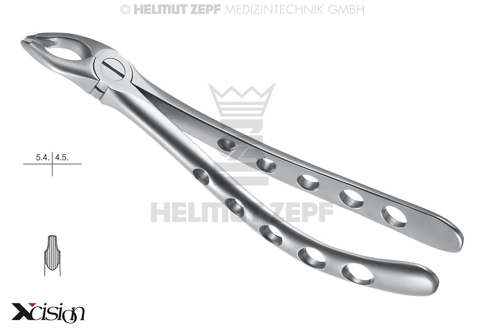ZAHNZANGE,ENGL.F.FIG. 35 OBERE PRÄMOLAREN SPEZ.-MAUL,TIEFGREIFEND