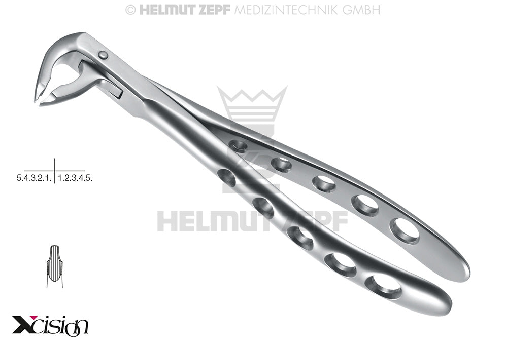 ZAHNZANGE,ENGL.FORM, FIG-36 FRONTZÄHNE, PRÄMOLAREN SPEZ.-MAUL,TIEFGR XCISION-LINE®