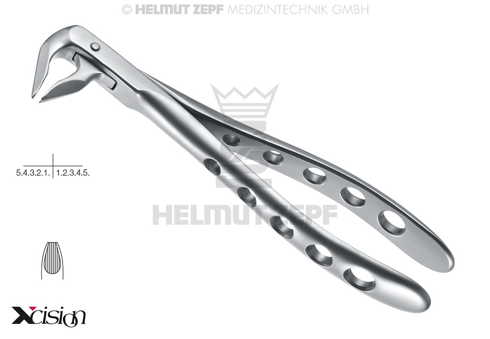 ZAHNZANGE,ENGL.FORM,F.36M SPEZIALMAUL, TIEFGREIFEND, XCISION-LINE®