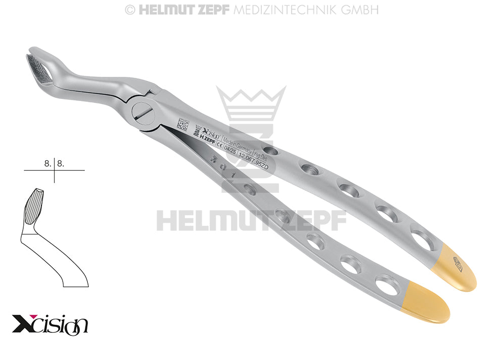ZAHNZANGE, ENGL.FORM, FIG. 67, OBERE WEISHEITSZ., MODIFIZIERT XCISION-LINE® VERKÜRZTES MAUL