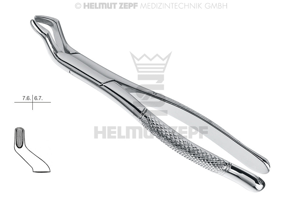 ZAHNZANGE, AMER. FORM, FIG. 10-S, OBERE MOLAREN