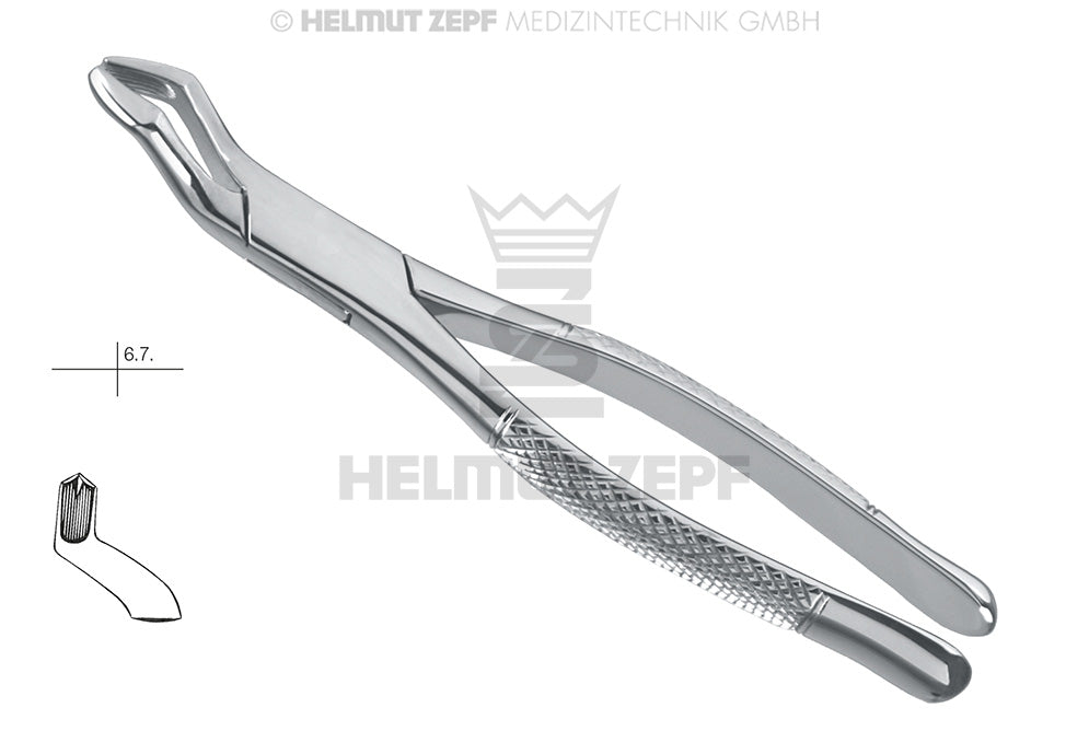 ZAHNZANGE, AMER. FORM, FIG. 53-L, OBERE LINKE MOLAREN