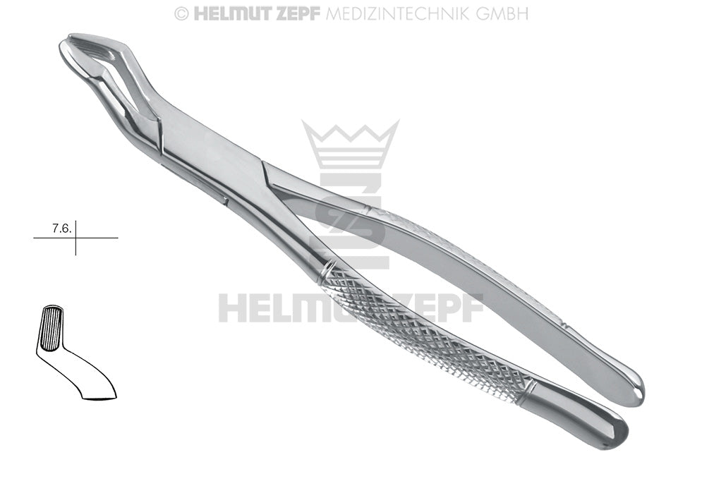 ZAHNZANGE, AMER. FORM, FIG. 53-R, OBERE RECHTE MOLAREN