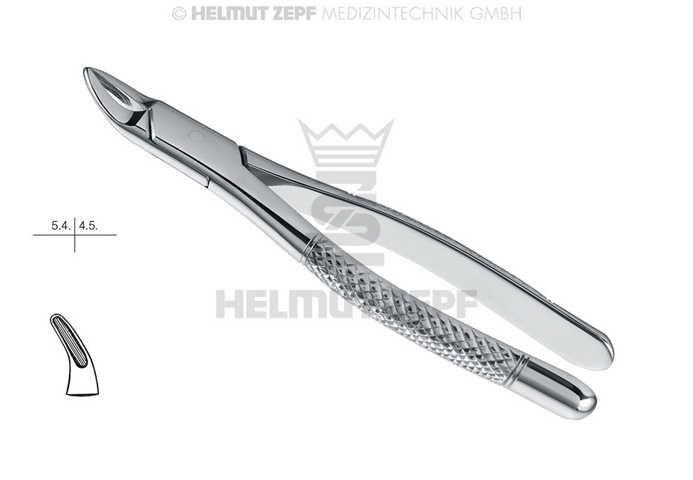 HULL, ZAHNZANGE, AMER. FORM, FIG. 101, MILCHZÄHNE