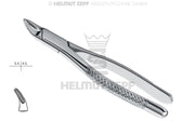 HULL, ZAHNZANGE, AMER. FORM, FIG. 101, MILCHZÄHNE