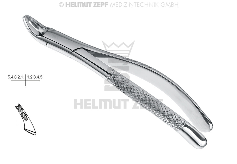 Zahnzange F. Kinder, Am. F., Fig.150-as, Obere Zähne