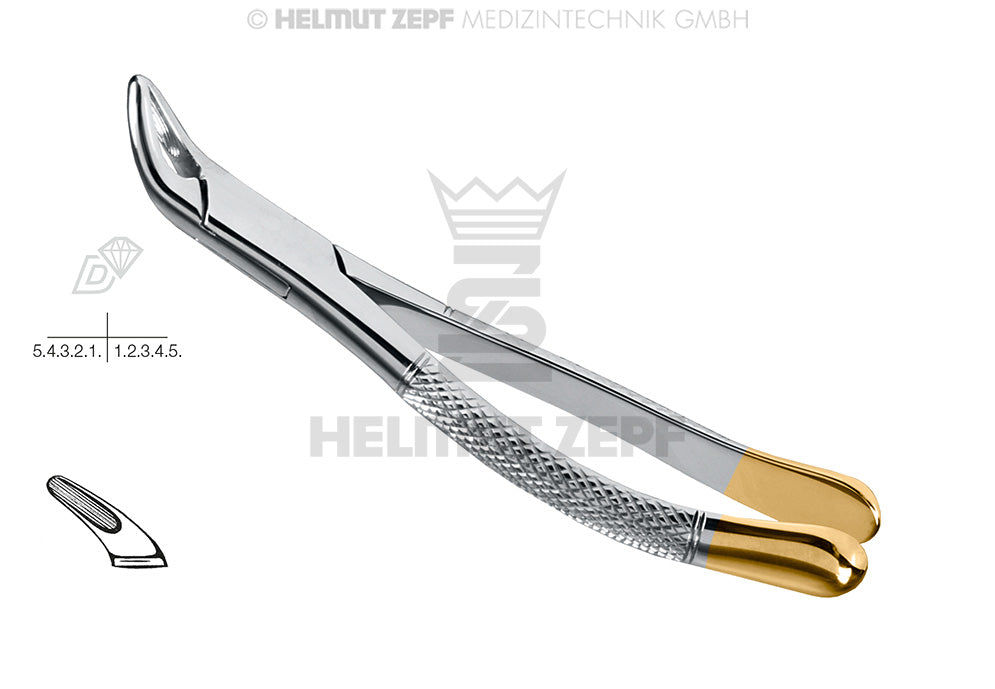 CRYER, ZAHNZANGE, AMER. FORM, FIG. 151, DIAMANTIERT UNTERE SCHNEIDEZHNE, PRMOL. & WURZELN