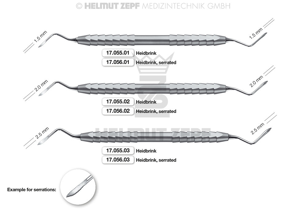 HEIDBRINK, WURZELSPITZENHEBER, FIG. 1, DOPPELENDIG
