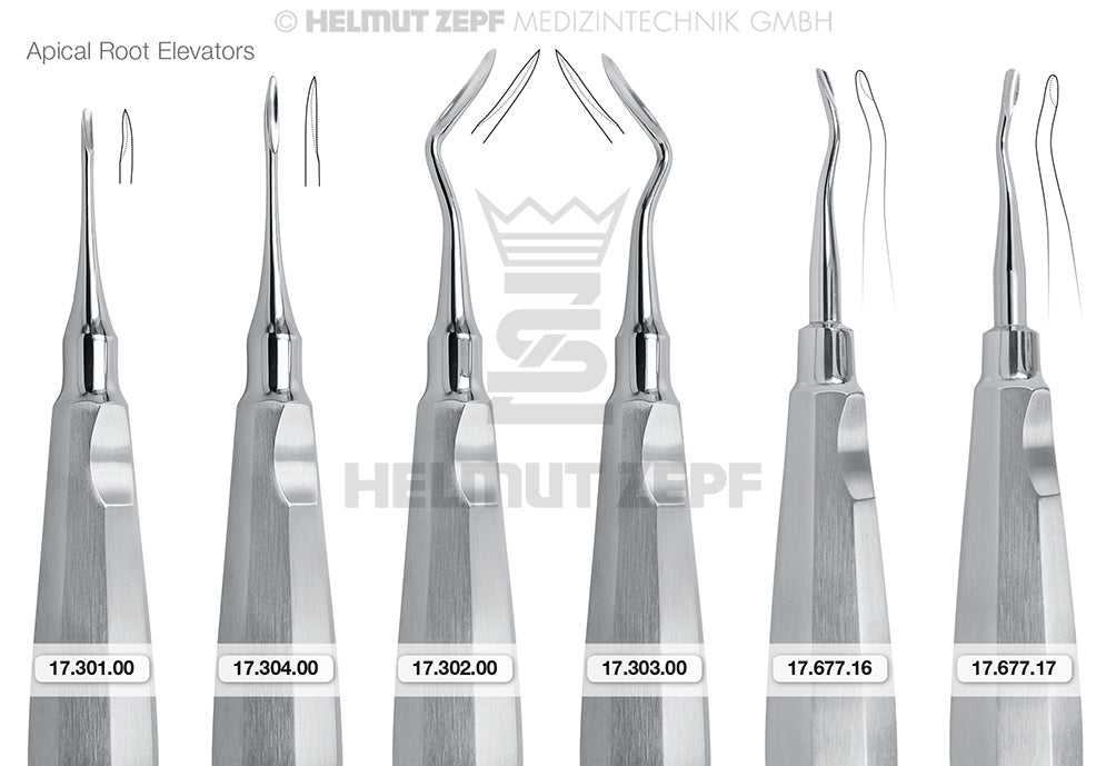 Apical, Wurzelheber, Fig. 302, mit Daumenkehle