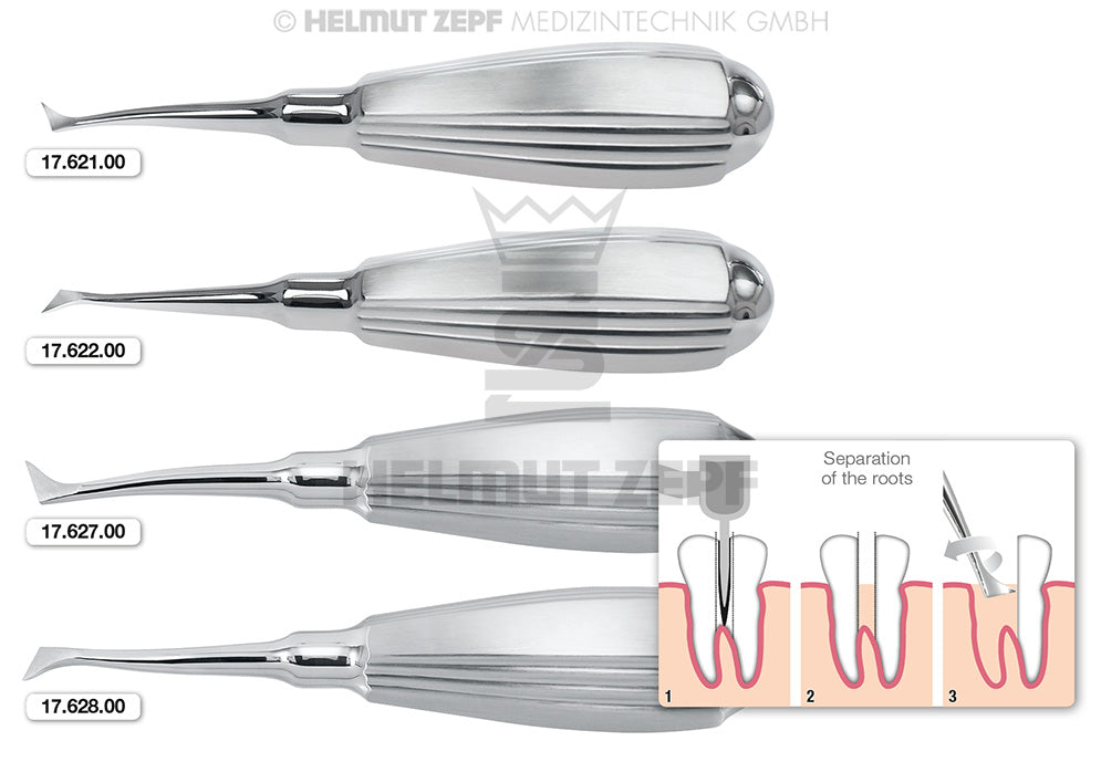 Wurzelheber, No. 21,