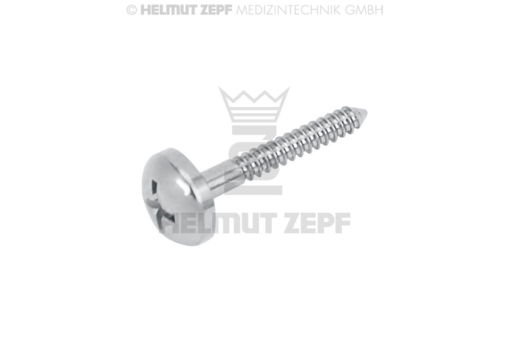 MIKROSCHRAUBE Ø 1,2 X 10 MM SCHIRMKOPF Ø 4MM, KREUZSCHLITZ